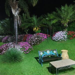 Decoração Jardim Amorim Garden Eventos