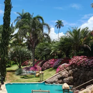 Piscina e jardim Amorim Garden Eventos