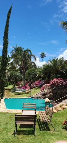 Piscina e jardim Amorim Garden Eventos